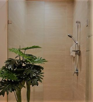 Serenia Thai Massage & Therapy Paddington 14