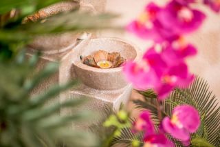 Serenia Thai Massage & Therapy Paddington 11
