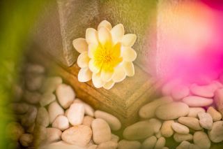 Serenia Thai Massage & Therapy Paddington 10
